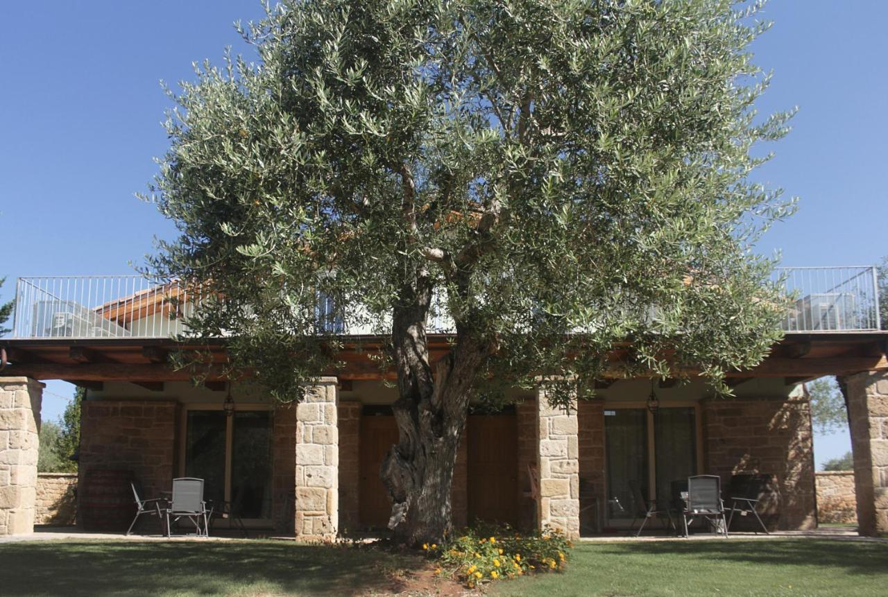 Casal Lluent Bed & Breakfast Alghero Dış mekan fotoğraf